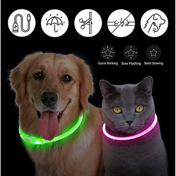 Illuminate Adventures, Keep Your Pet Safe!