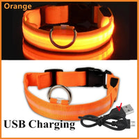 GlowPaw Collar™ Adjustable LED Pet Collar