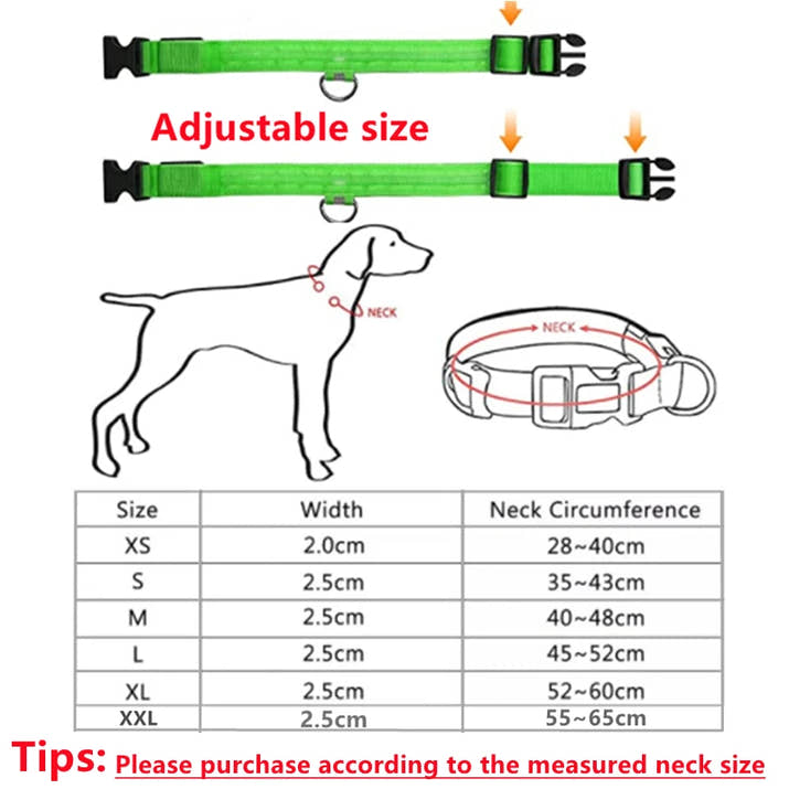 GlowPaw Collar™ Adjustable LED Pet Collar